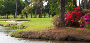 Green with flag surrounded by flowers and pond