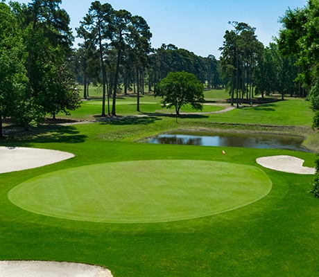 golf courses near me in north myrtle beach